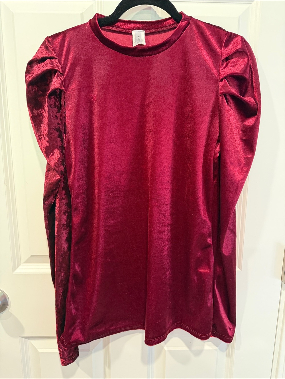 Acting Pro Velvet Long Sleeve Top in Deep Wine